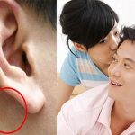 trai tân có đặc điểm gì nhận dạng