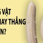 Dương vật cong hay thẳng tốt hơn?